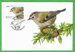 Portugal / Acores  2019 , EUROPA CEPT Birds / Aves Nacionais Ferfolha - Maximum Card - Ctt P.Delgada 2019.05.09 - 2019