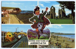 HAVING OUR FLING AT ARBROATH - MULTIVIEW / CRANBROOK, BENENDEN, KNOCKERS (ABBOTT) - Angus