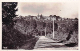 53 - Mayenne - SAINTE SUZANNE ( Sainte-Suzanne-et-Chammes )  Vue D Ensemble - Coté Est - Sainte Suzanne