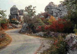 07 - Les Vans - Bois De Paiolive - En Automne - CPM - Voir Scans Recto-Verso - Les Vans