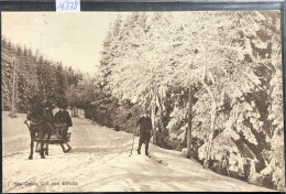 Ste-Croix (Vaud) Traîneau Hippotracté Et Skieur Au Col Des Etroits (16'878) - Sainte-Croix 