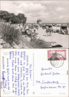 Ansichtskarte Ueckermünde Haffbad Mit Gästen Und Vielen Strandkörben 1977 - Ueckermuende