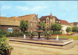 Ansichtskarte Elsterwerda Wikow Elsterbrunnen Am Marktplatz 1981 - Elsterwerda