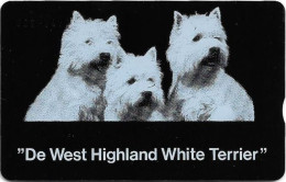 Netherlands - KPN - L&G - RCZ793 - De West Highland White Terrier Dog - 302H - 4Units, 09.1991, 1.000ex, Mint - Privadas