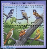 Gambia 2000 Tropical Birds 6v M/s, Mint NH, Nature - Birds - Gambie (...-1964)