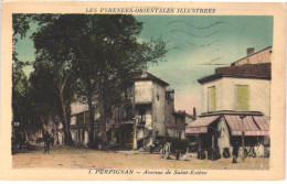 FR66 PERPIGNAN - Phototypie Tarnaise Poux APA 1 Colorisée - Avenue De Saint Esteve - Animée - Belle - Perpignan