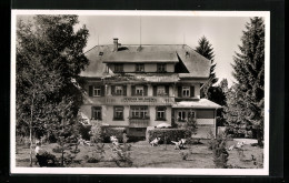 AK Hinterzarten / Schwarzwald, Pension Waldheim  - Hinterzarten