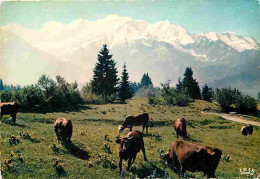 Animaux - Vaches - Panorama Sur La Chaine Du Mont Blanc Depuis Plaine-Joux - Montagnes - CPM - Voir Scans Recto-Verso - Cows