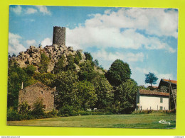 43 ROCHE EN REGNIER Vers Retournac Alt 910m La Tour Vue Générale En 1982 - Retournac