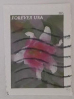 VEREINIGTE STAATEN ETATS UNIS USA 2021 GARDEN FLOWERS: ASIATIC LILY F USED ON PAPER SN 5565 MI 5798 YT 5407 - Oblitérés