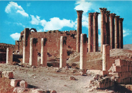 JORDANIE -  Jerash - Ruines Anciennes Avec Plusieurs Colonnes - Colorisé - Carte Postale - Jordanie