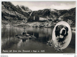 GRAN  SAN  BERNARDO (AO):  OSPIZIO  E  LAGO  -  FOTO  -  FG - Hotels & Restaurants