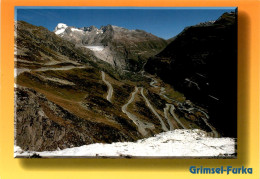 Grimsel - Furka (17401) - Obergoms