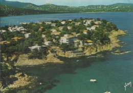 Cavalaire-sur-Mer - Vue Générale Sur Le Cap - (P) - Cavalaire-sur-Mer