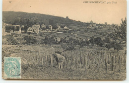 CHEVERCHEMONT  Près Triel - Travail De La Vigne - Triel Sur Seine