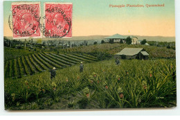 Australie - QUEENSLAND - Pineapple Plantation - Other & Unclassified