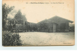 CHATILLON COLIGNY - La Gare Du Tramway - Chatillon Coligny