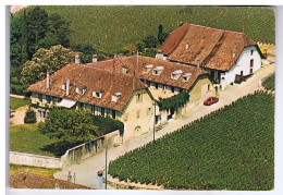 SUISSE - Château De FECHY - Maison De Repos Pour Malades Et Handicapés - Air-Photo - N° 1617 . 83 - Féchy