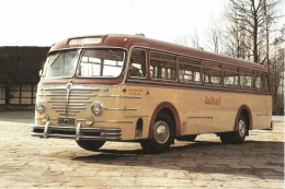 Bussing 6000T (1952)  - Ancien Autobus  - 15x10cms PHOTO - Busse & Reisebusse