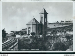 Ah717 Cartolina Vibo Valentia Pineta E Chiesa Della Madonnina - Vibo Valentia