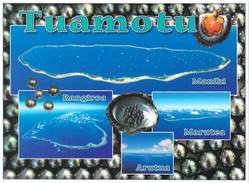 Polynésie TUAMOTU La Perle Noire Des Tuamotu Et Atolls (Rangiroa Manihi Arutua Marutea /1506 Tahiti/ Coquillage Shell - Polynésie Française