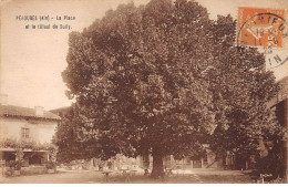 01.AM19321.Pérouges.La Place Et Le Tilleul De Sully - Pérouges