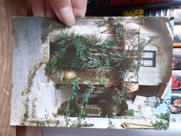 Ancienne Carte Postale - Cagnes-sur-Mer