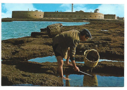 LA CALETA / THE SMALLBAY / LA CALE.-  CADIZ.- ( ESPAÑA ) - Cádiz