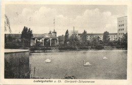 Ludwigshafen Am Rhein - Ebertpark Schwanensee - Ludwigshafen