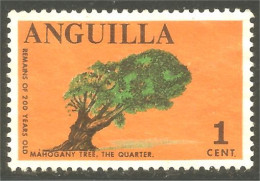 XW01-1464 Anguilla Mahogany Tree Arbre Baum No Gum - Bäume