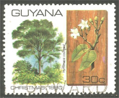 XW01-1156 Guyana Noel Christmas Tree Arbre Weinachten Baum - Bäume