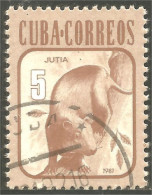 XW01-1963 Cuba Jutia Hutia Hutie Animal Rat Rodent Rongeur Nagetier - Rodents