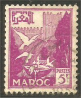 XW01-1901 Maroc Mouettes Move Gulls 5f Vert - Meeuwen