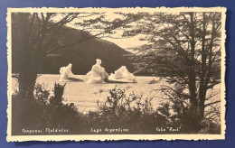 805 ARGENTINA LAGO ARGENTINO LAKE TEMPANOS FLOTANTES RARE POSTCARD - Amerika