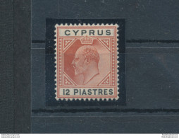 1904-10 Cipro, Stanley Gibbons N. 69 - 12 Piastre Chestnut And Black - MH* - Autres & Non Classés