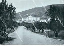 U705 Cartolina S.giovanni Rotondo Casa Sollievo Della Tolleranza Foggia - Foggia