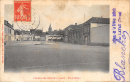 45-CHATILLON COLIGNY-N°365-E/0215 - Chatillon Coligny