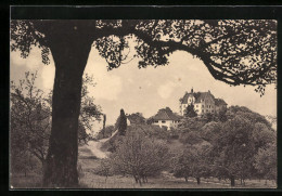 AK Stettfurt, Das Schloss Sonnenberg Mit Bäumen  - Stettfurt