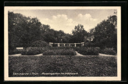 AK Sömmerda I. Thür., Rosengarten Im Stadtpark  - Sömmerda