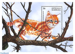 Barbuda 2000 Cat S/s, Mint NH, Nature - Cats - Barbuda (...-1981)