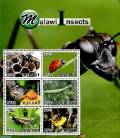 Malawi 2018 Insects 6v M/s, Mint NH, Nature - Insects - Malawi (1964-...)