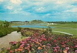 93 - La Courneuve - Le Parc Départemental - Fleurs - CPM - Voir Scans Recto-Verso - La Courneuve