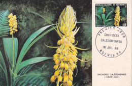 MAXIMA 1986   NOUVELLA CALEDONIA - Orchideeën