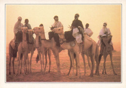 NIGER - La Cure Salée - Teguidda N'tessoumt - Des Touareg Sur Leurs Dromadaires - Animé - Colorisé - Carte Postale - Níger