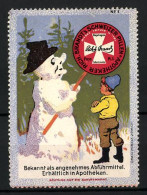 Reklamemarke Apotheker Rich. Brandt's Schweizer Pastillen, Angenehmes Abführmittel, Bube Steht Vor Einem Schneemann  - Erinnofilie