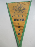 Fanion Souvenir/ORLEANS/NOYAN  Le FUZELIER/IIIème Rallye  Des  Rabiolots Orléanais/CIF / 1970          DFA76 - Vlaggen