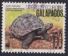 Galapagos Giant Tortoise (Testudo Elephantopus) - 1991 - Ecuador