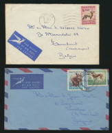 Afrika Südafrika 3 Briefe Mit EF Oder MIF Tiere Africa 3 Covers With Animals - Cartas & Documentos