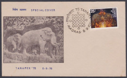 Inde India 1975 Special Cover Elephant Sculpture, Art, Elephants, Mahabalipuram, Pictorial Postmark - Cartas & Documentos