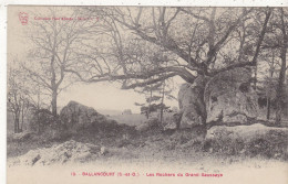 91.BALLANCOURT .CPA .LES ROCHERS DU GRAND SAUSSAYE. - Ballancourt Sur Essonne